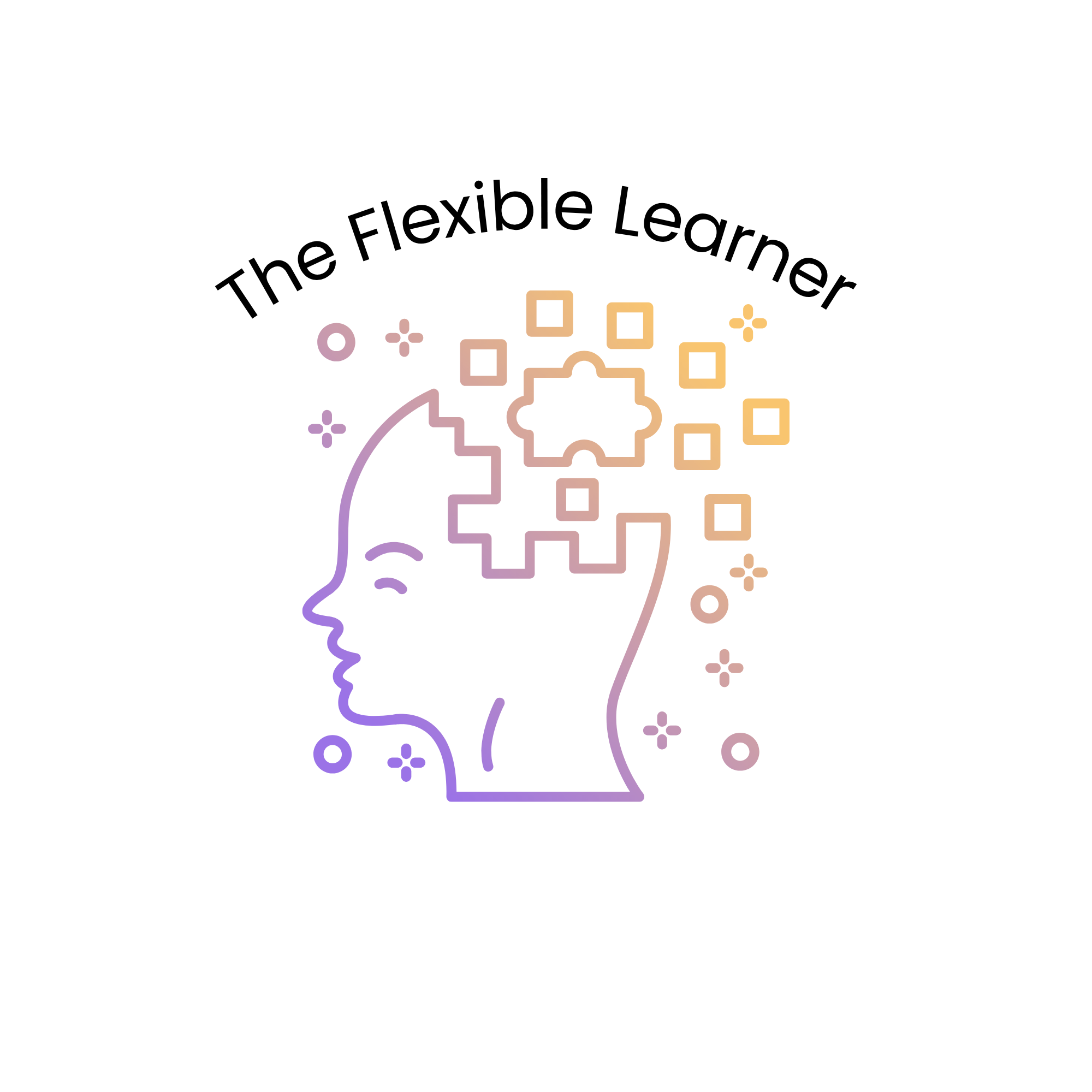 The Flexible Learner